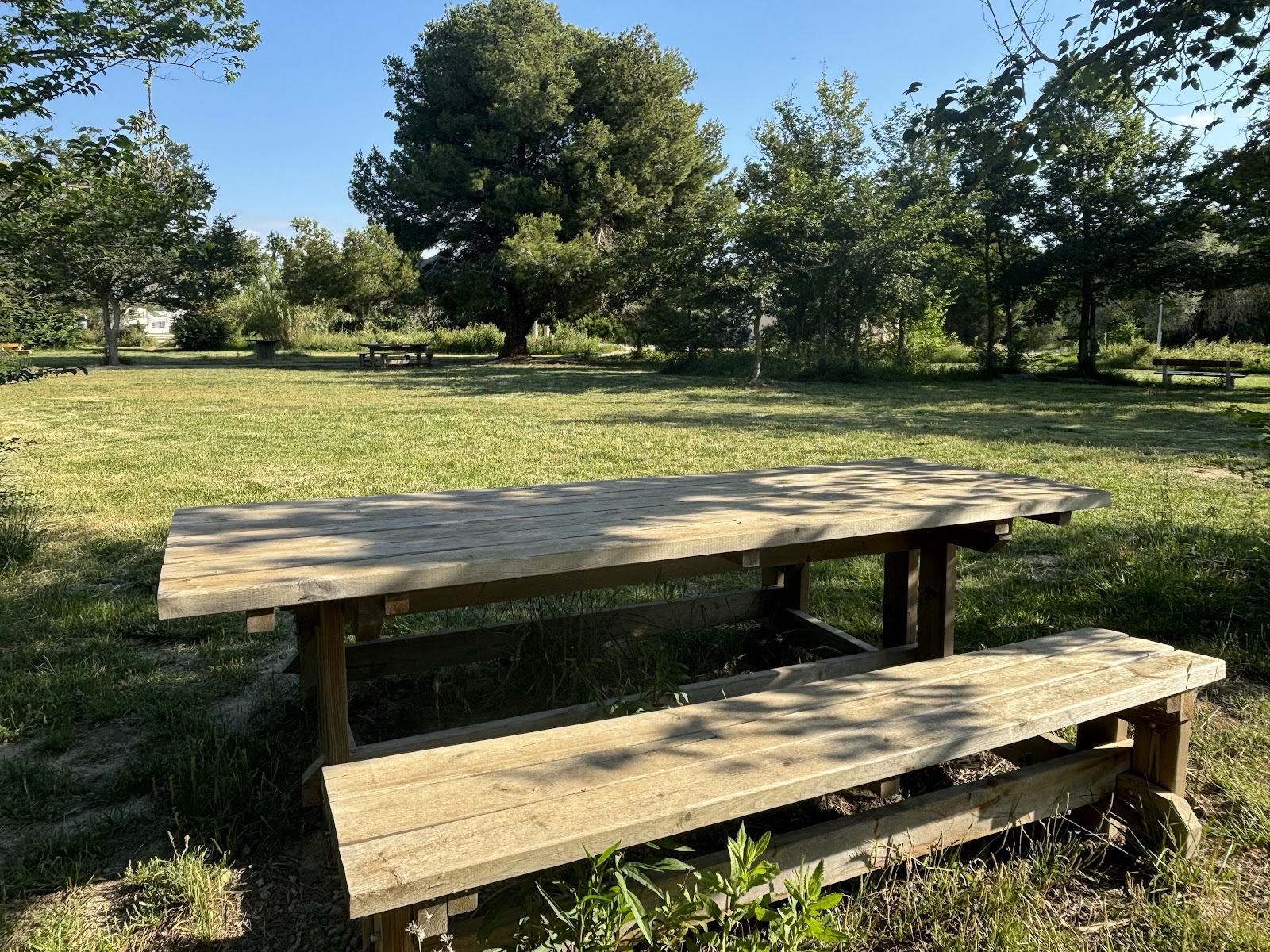 Espace vert avec table de pique-nique